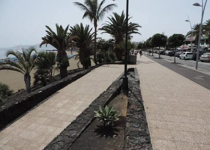 アパート Blue Turtle Apartment, Next To The *