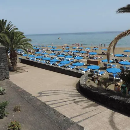 Blue Turtle Apartment, Next To The Appartamento *