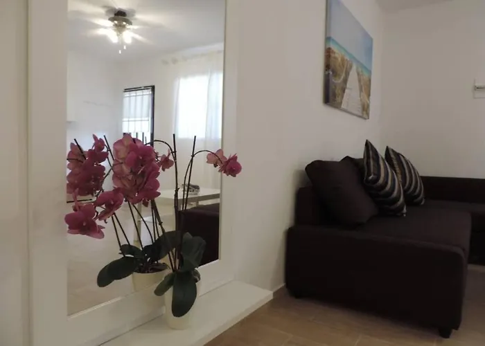 Blue Turtle Apartment, Next To The Appartamento *