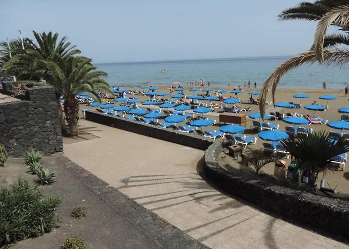 Blue Turtle Apartment, Next To The Appartamento *